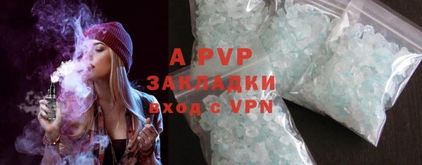 гашик Богданович