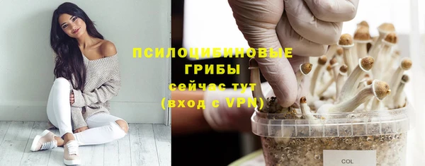 гашик Богданович