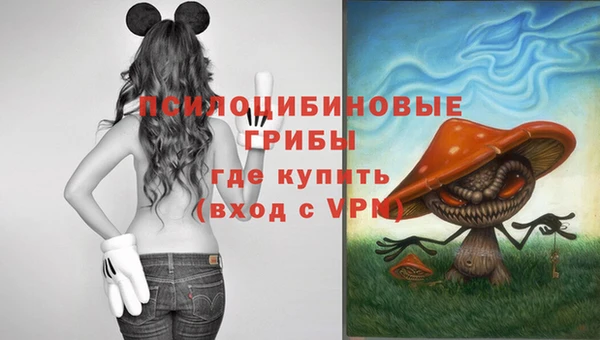 кокс Сосновый Бор