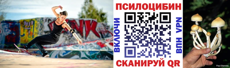 Псилоцибиновые грибы Cubensis  купить   Краснокамск 